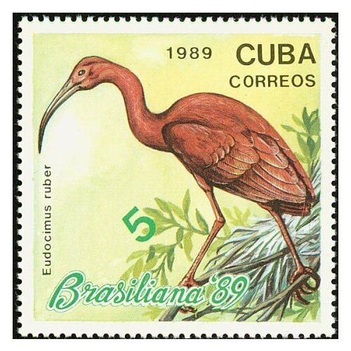 (1989-050) Марка Куба Красный ибис Птицы III Θ 1990 057 марка куба кеа птицы iii θ