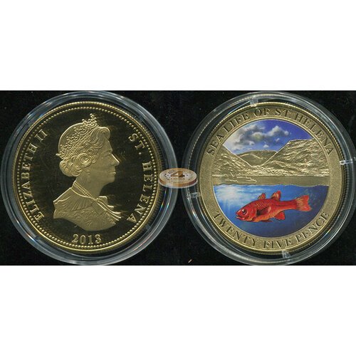 Остров Святой Елены. Монета 25 пенсов. 2013 (KM#NL. Proof. Капсула. Позолота. Эмаль) Рыбы остров святой елены 25 пенсов 2013 г птичья жизнь зуек острова святой елены proof