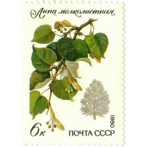 (1980-091) Марка СССР Мелколистная липа Охраняемые породы деревьев и кустарников III O