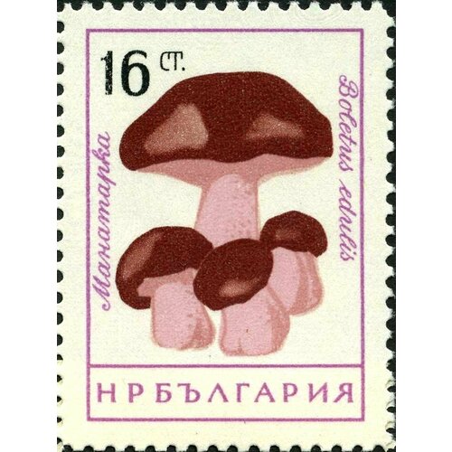 (1961-074) Марка Болгария Белый гриб Грибы (1) II Θ