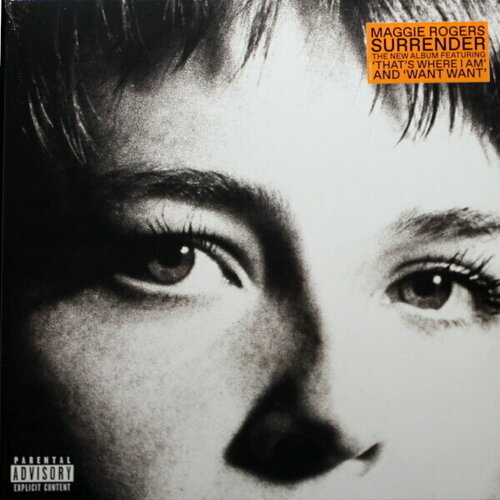 Universal Music Maggie Rogers / Surrender (LP) виниловая пластинка universal music pj harvey rid of me lp