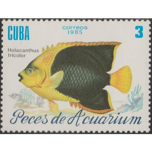 (1985-059) Сцепка (2 м) Куба Карибская императорская рыба Рыбы III Θ 1985 041 сцепка 2 м куба тюльпан цветы iii θ