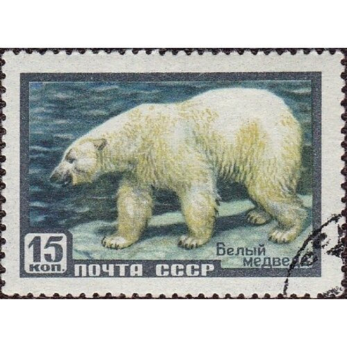 (1957-031) Марка СССР Белый медведь Фауна СССР II Θ 1957 035 марка ссср лось фауна ссср i o