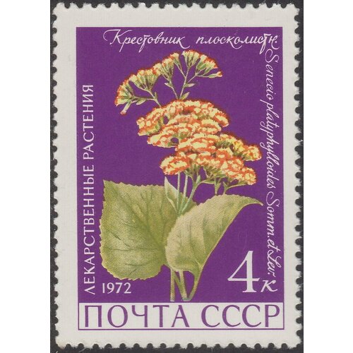 (1972-019) Марка СССР Крестовник плосколистный Лекарственные растения II O марки ссср лекарственные растения 1972 5 штук