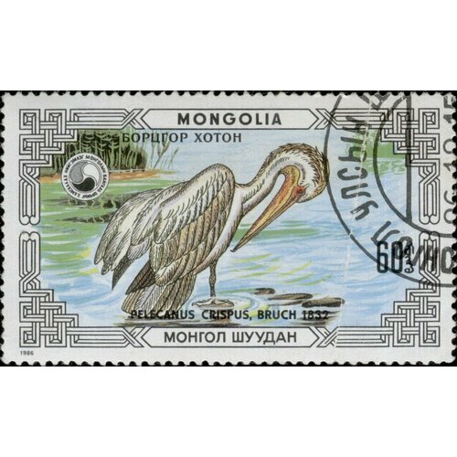 (1986-066) Марка Монголия Кудрявый пеликан Охраняемые животные: пеликаны III Θ 1979 066 марка монголия ястребиная славка охраняемые птицы iii θ