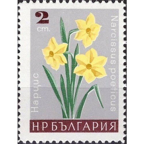 (1966-095) Марка Болгария Нарцисс Садовые цветы II Θ