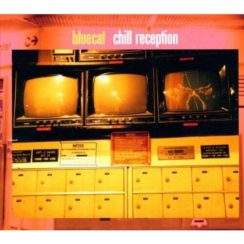 Bluecat 'Chill Reception' CD/2001/Electronic/Russia benassi bros phobia cd 2005 electronic russia