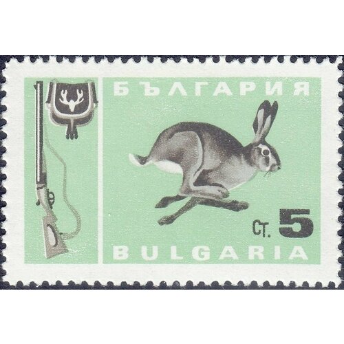 (1967-004) Марка Болгария Заяц-русак Охота II O 1967 006 марка болгария олень охота iii o