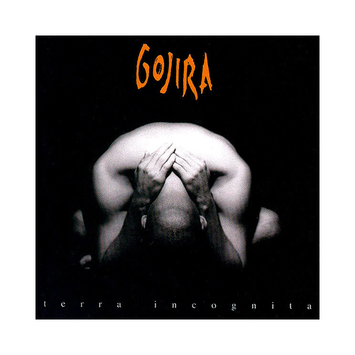 Gojira - Terra Incognita, 2LP Gatefold, BLACK LP anti flag live acoustic at 11th street records vinile rsd16