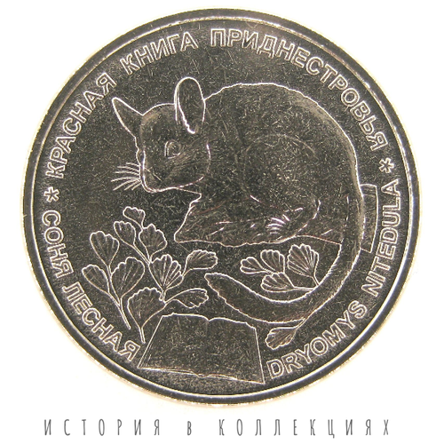 Приднестровье 1 рубль 2023 Соня лесная UNC / коллекционная монета приднестровье 1 рубль 2023 соня лесная