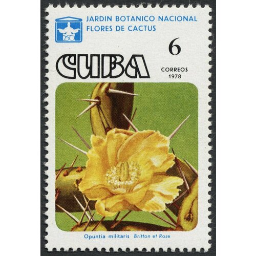 (1978-028) Сцепка (2 м) Куба Опунция Кактусы III Θ 1985 041 сцепка 2 м куба тюльпан цветы iii θ