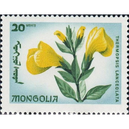 (1966-029) Марка Монголия Термопсис Эндемические цветы III Θ 1966 005 марка монголия манул пушные звери iii θ