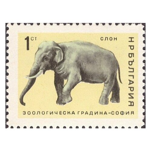 (1966-029) Марка Болгария Индийский слон Софийский зоопарк II Θ 1966 029 марка болгария индийский слон софийский зоопарк ii o