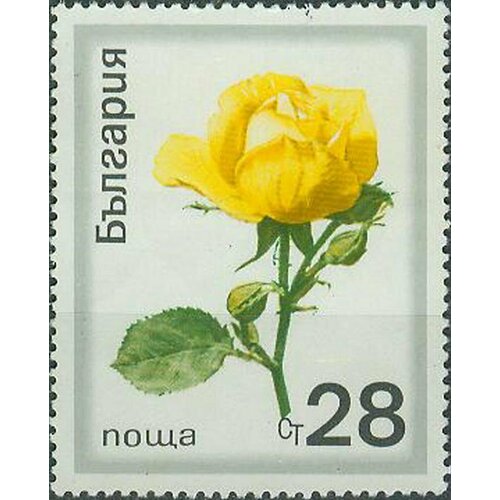 (1970-035) Марка Болгария Жёлтая роза Розы II Θ 1970 033 марка болгария роза с бутонами розы i θ