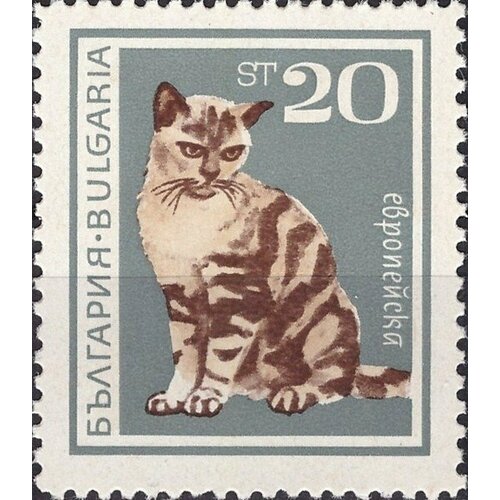 (1967-027) Марка Болгария Европейская Домашние кошки II O 1967 004 марка болгария заяц русак охота ii o