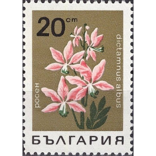 (1968-019) Марка Болгария Ясенец Горные цветы II Θ 1968 014 марка болгария горечавка бесстебельная горные цветы ii o