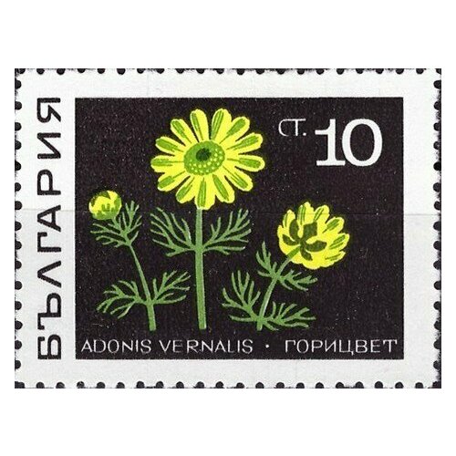 (1969-006) Марка Болгария Горицвет весенний Лекарственные растения II Θ