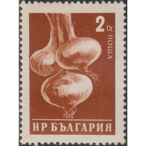 (1958-031) Марка Болгария Лук Перф греб 13 Стандартный выпуск. Овощи II Θ