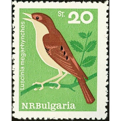 (1965-028) Марка Болгария Соловей Певчие птицы III Θ