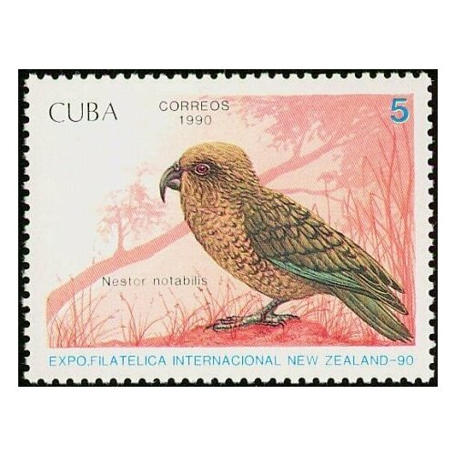 (1990-057) Марка Куба Кеа Птицы III Θ 1983 080 марка куба кубинский тиарис птицы iii θ