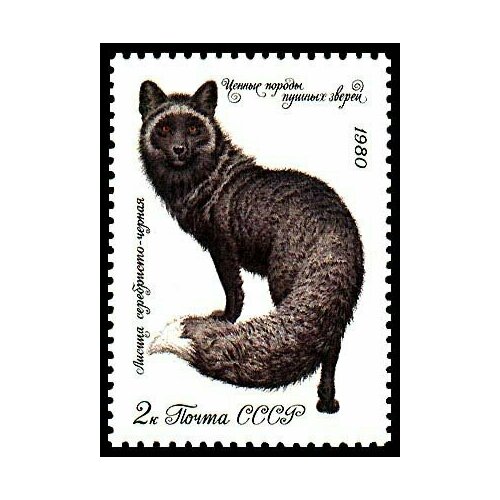 (1980-055) Марка СССР Серебристо-чёрная лисица Ценные породы пушных зверей III Θ