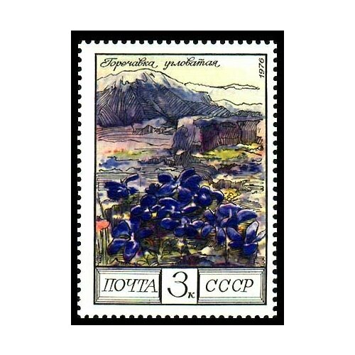 (1976-111) Марка СССР Угловатая гречавка Цветы гор Кавказа III Θ