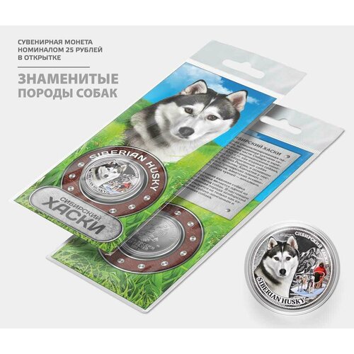 Сувенирная монета 25 рублей Хаски цветная с гравировкой в подарочной открытке монета 25 рублей фредди меркьюри