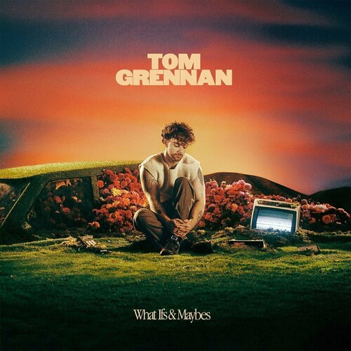 Виниловая пластинка Grennan Tom - What Ifs & Maybes (Black Vinyl LP) the creation how does it feel to feel vinyl 180 gram