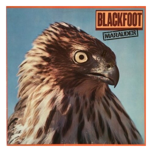 Старый винил, ATCO Records, BLACKFOOT - Marauder (LP , Used)