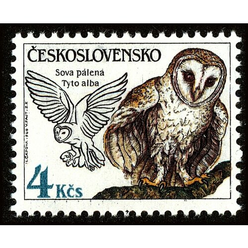 (1986-033) Марка Чехословакия Сипуха  Охрана природы. Совы III Θ 1983 017 марка чехословакия птица охрана природы iii θ