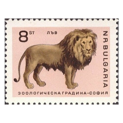 (1966-034) Марка Болгария Лев Софийский зоопарк II O 1966 029 марка болгария индийский слон софийский зоопарк ii o