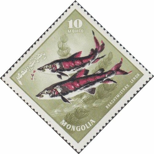 (1965-024) Марка Монголия Ленок Речные хищные рыбы III O плакат речные рыбы 2165