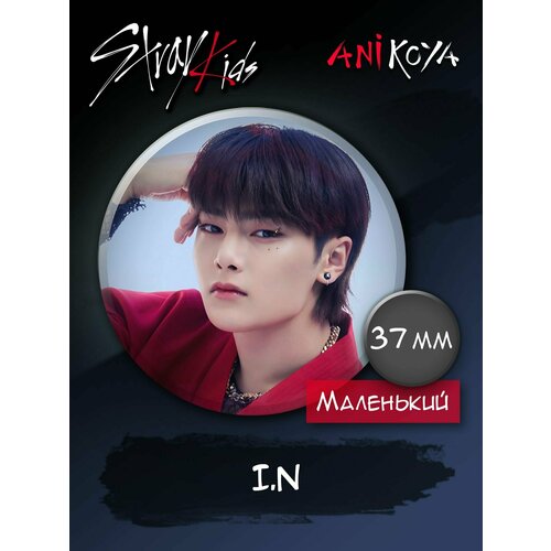 Значок AniKoya stray kids 2шт подарок