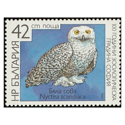 (1988-038) Марка Болгария Белая сова Зоопарк Софии, 100 лет III Θ