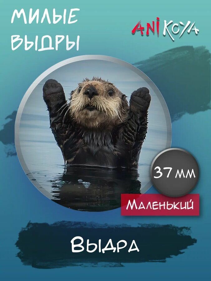 Набор значков AniKoya