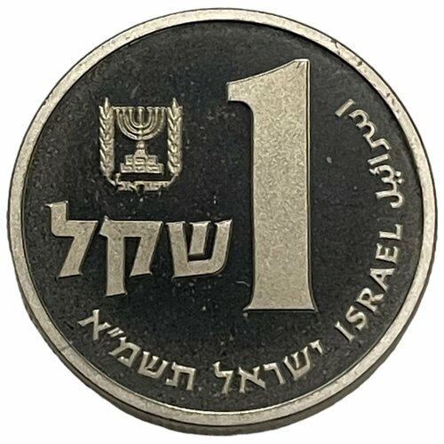 Израиль 1 шекель 1981 г. (5741) (Пьедфорт) (Proof) израиль 10 новых агорот 1981 г 5741 пьедфорт proof 2