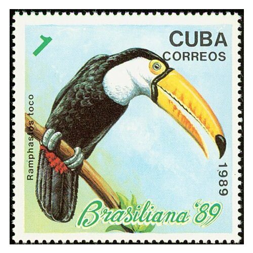 (1989-048) Марка Куба Тукан Птицы III Θ 1974 065 марка куба бескрылая гагарка ископаемые птицы ii θ