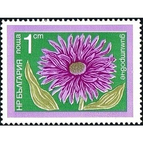 (1974-044) Марка Болгария Астра зимняя Садовые цветы III Θ 1974 046 марка болгария водосбор садовые цветы iii θ