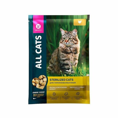 Влажный корм ALL CATS для стерилизованных кошек, тефтельки с курицей в соусе, пауч, 85 г
