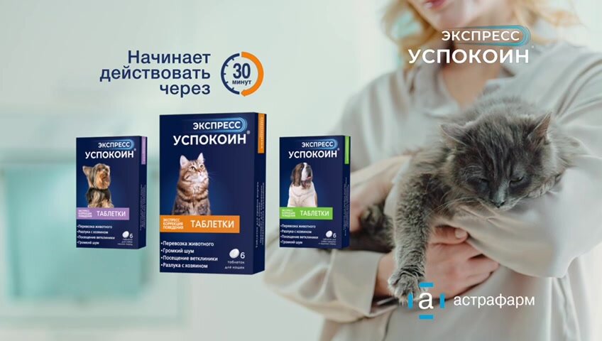 Таблетки Астрафарм Экспресс Успокоин для средних и крупных пород 120 мг 6шт. в уп. Россия 6 шт. 20 г 1 шт. Россия — фото 1