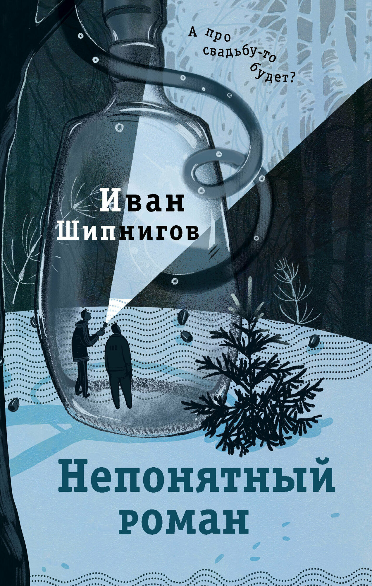 Непонятный роман Шипнигов И. В.