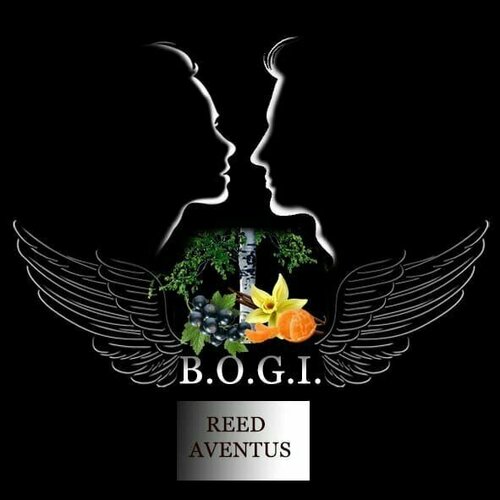 Ароматизатор для ватомобиля Reed Aventus, автопарфюм, диффузор