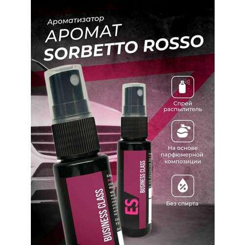 Ароматизатор спрей Business Class по мотивам Es 314₽