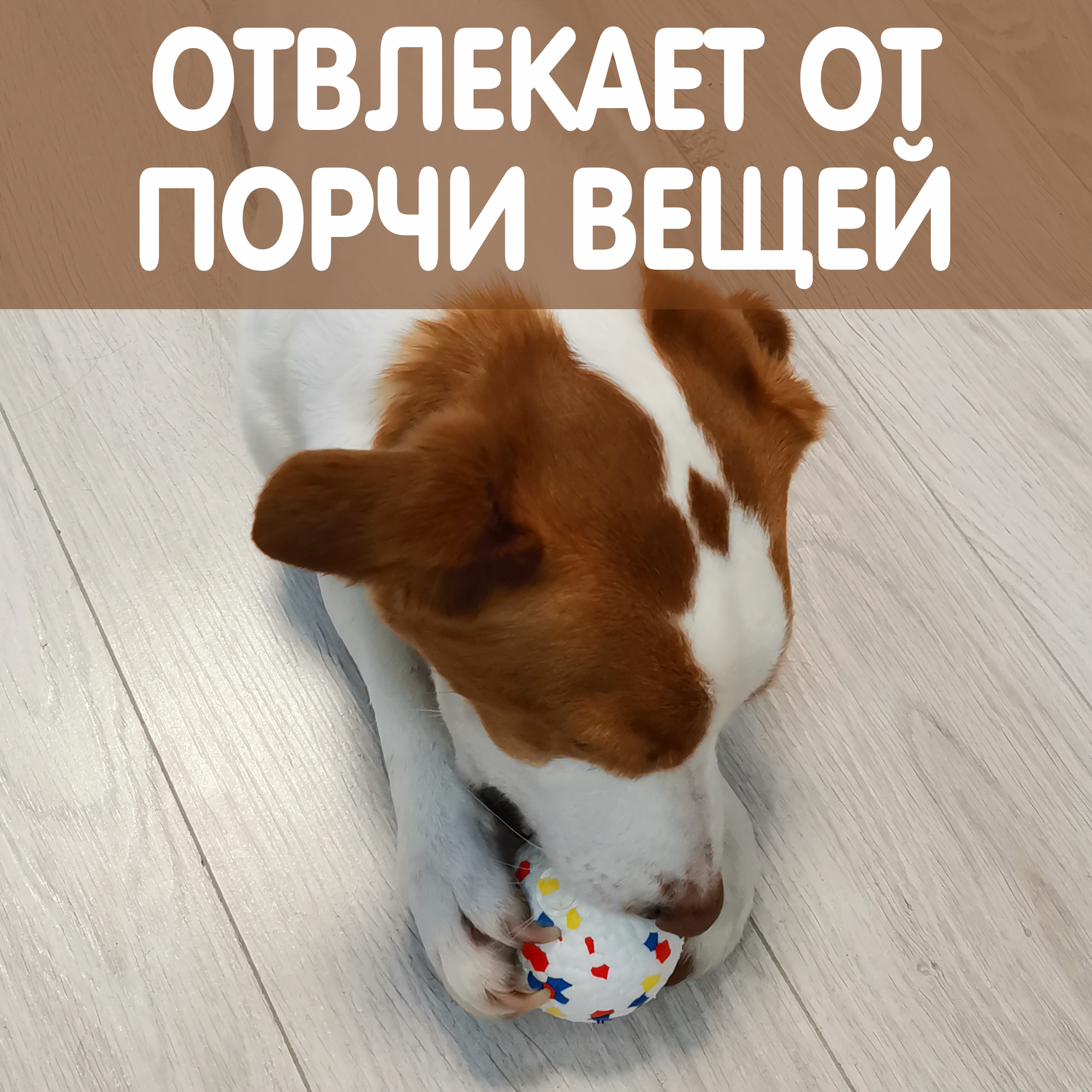 Мячик для собак мелких и средних пород, игрушка для щенков прочная - фотография № 10