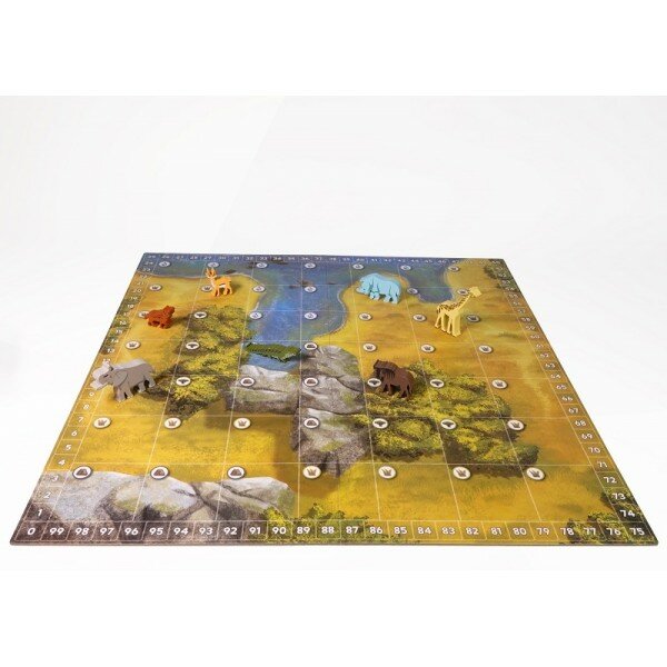 Дикая природа Серенгети — фото 1