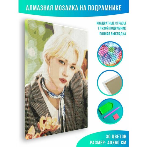 Алмазная мозаика на подрамнике - вышивка Stray kids - Felix 40 х 60 см