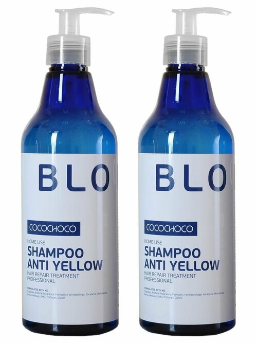 Шампунь для осветленных волос Anti Yellow Shampoo 2 x 500 мл