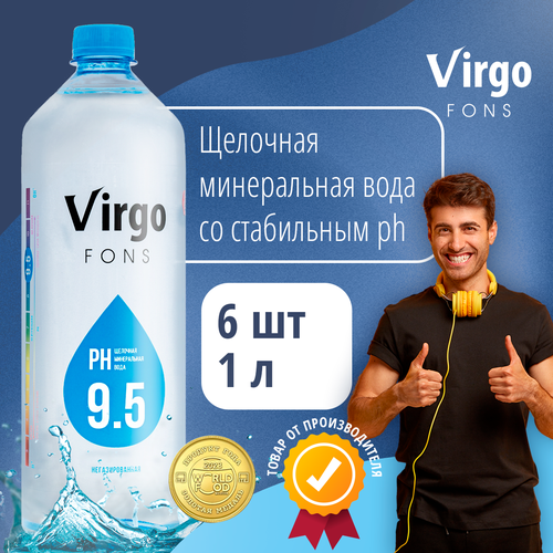 VirgoFons
