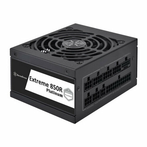 Silverstone SST-EX850R-PM G540EX085RPM220 2436000₽