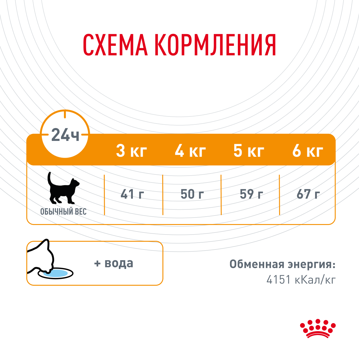 Корм для кошек ROYAL CANIN - фото №8